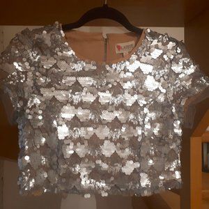 Grey Sequined Crop Top (Medium)